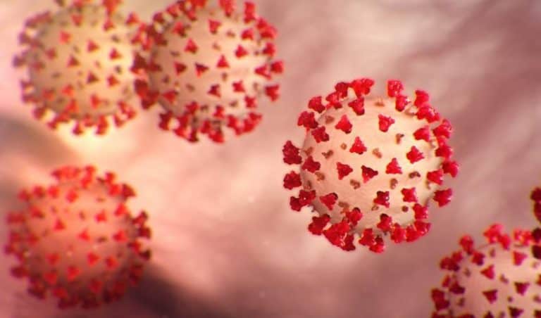 EL CORONAVIRUS, una prueba para el mundo